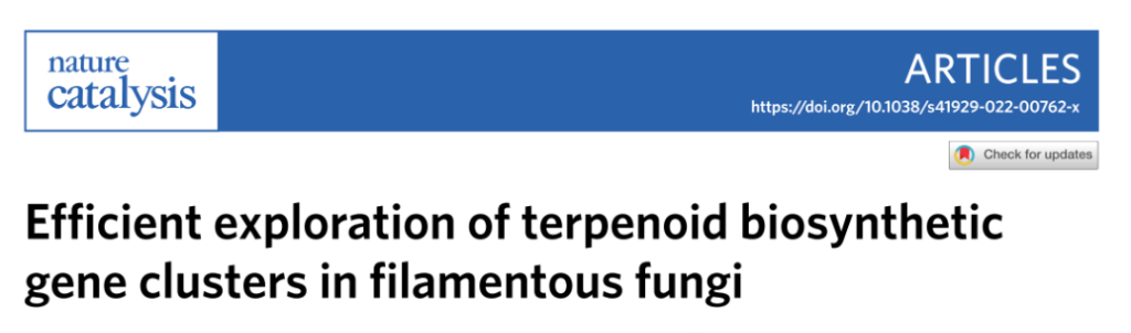 Efficient exploration of terpenoid biosynthetic gene clusters in filamentous fungi