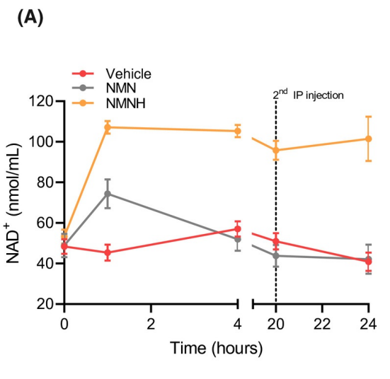 Supplementing NMNH can increase the content of NAD+ by 5 times, while at the same concentration, NMN can only double the basal level.