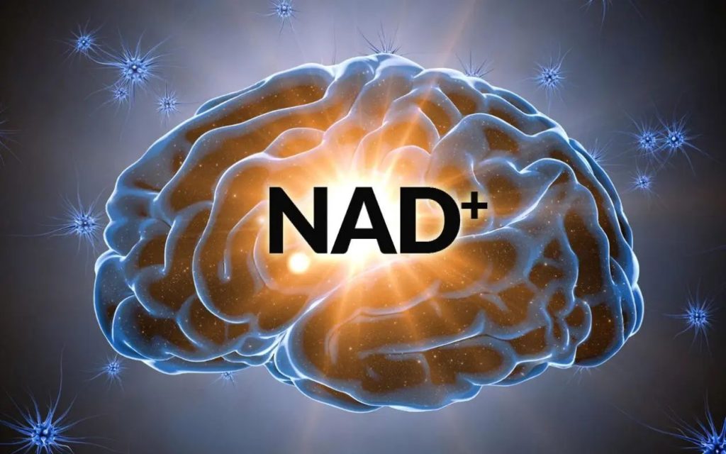 NAD+