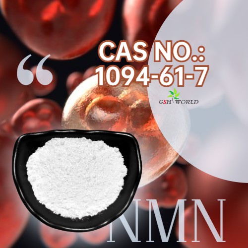 Bulk NMN Powder