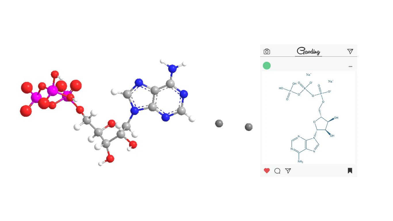 Bulk Adenosine disodium triphosphate Powder