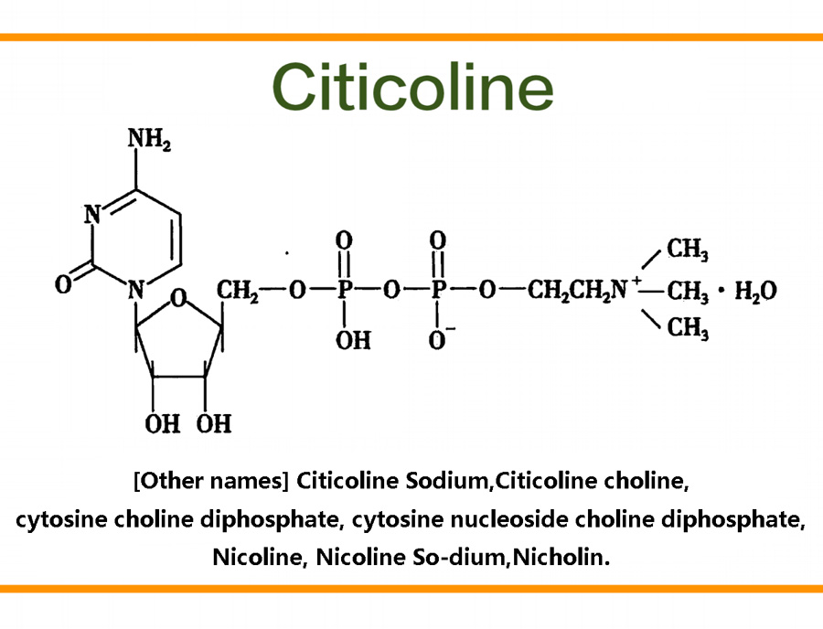 Bulk Citicoline Powder