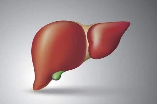 The detoxification weapon of glutathione liver