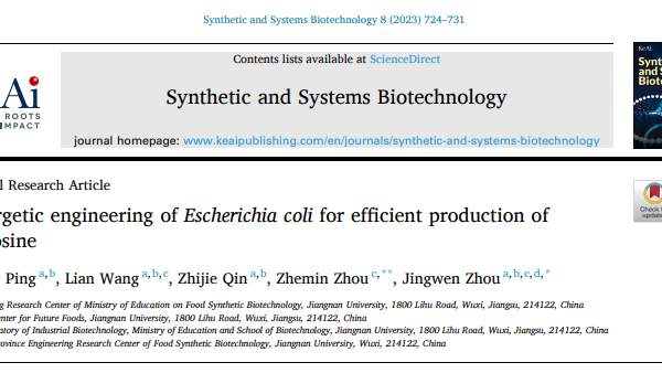 Synergetic engineering of Escherichia coli for efficient production ofI-tyrosine