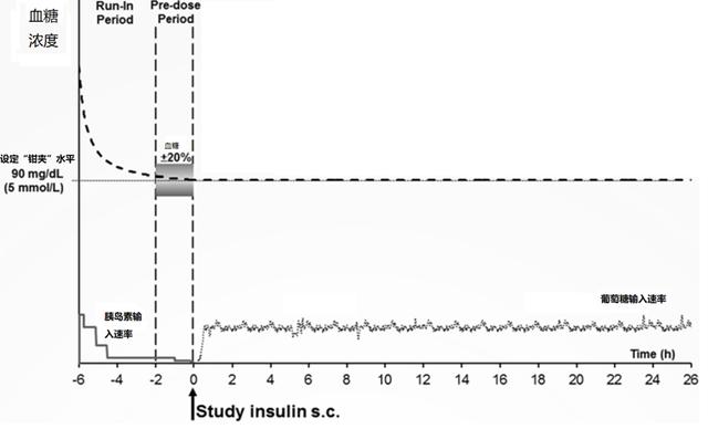 Figure 2: Example curve of high insulin glucose clamp (HEC)