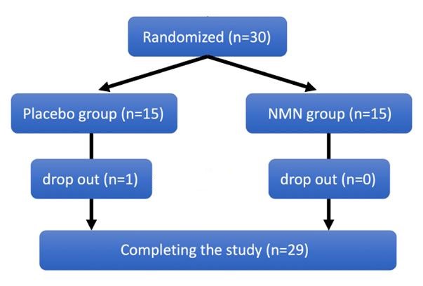 Figure 1: Experimental grouping (placebo group on the left and NMN group on the right)