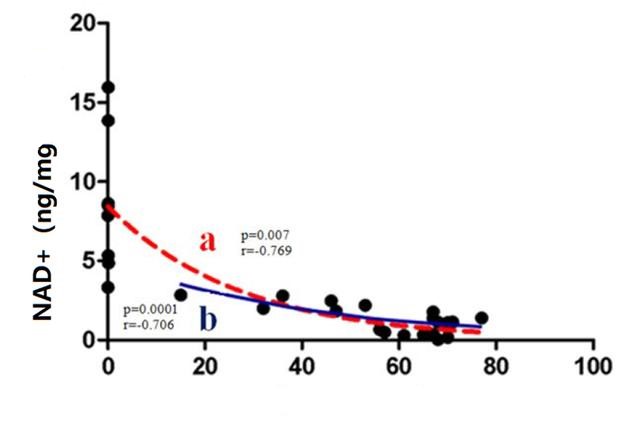 Figure 2: The level of NAD+ in human body decreases with age