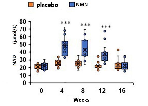Chart 2: NMN administration increases NAD+levels in the blood