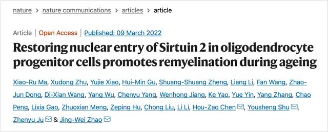 Restoringnuclear entry of Sirtuin 2in oligodendrocyte progenitor cells promotes remyelination during ageing
