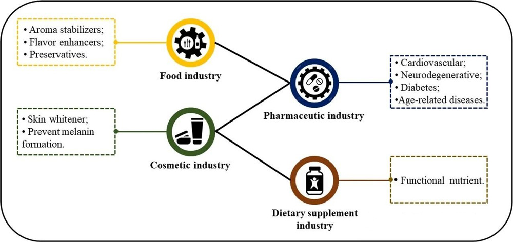 Four application areas of glutathione and their functions