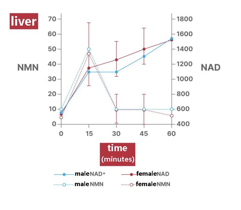 Changes of β-Nicotinamide Mononucleotide and NAD+ contents in liver of mice after NMN injection