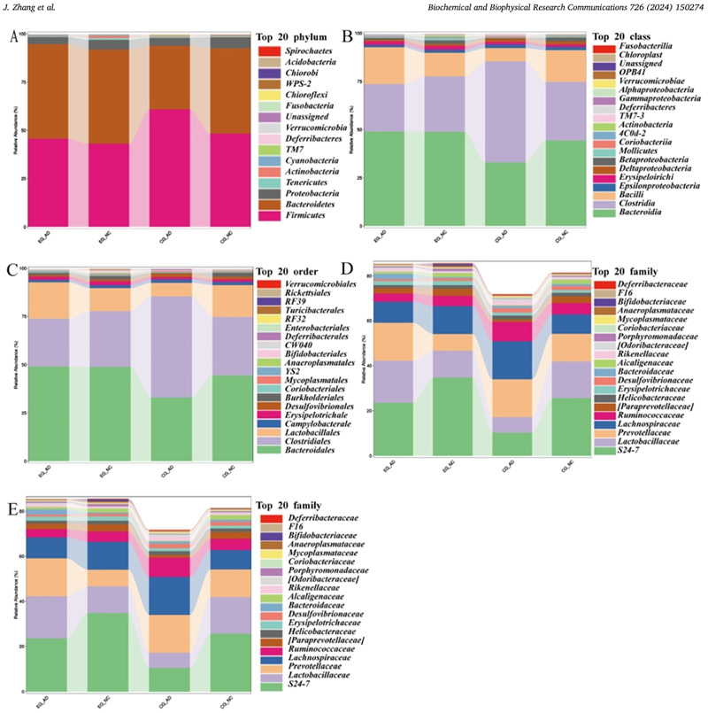 Changes in species composition of four groups of mice at different taxonomic levels