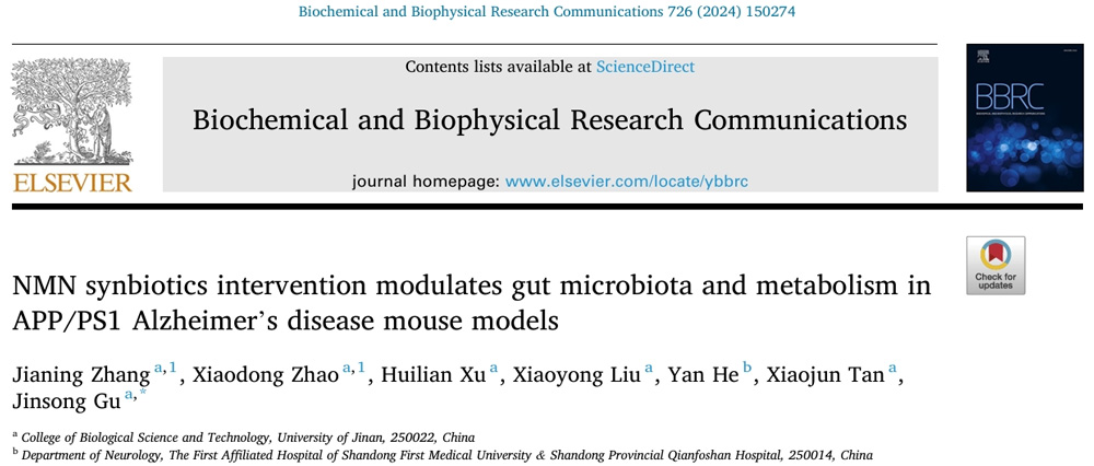 NMN synbiotic intervention modulates gut microbiota and metabolism in a mouse model of APP/PS1 Alzheimer's disease