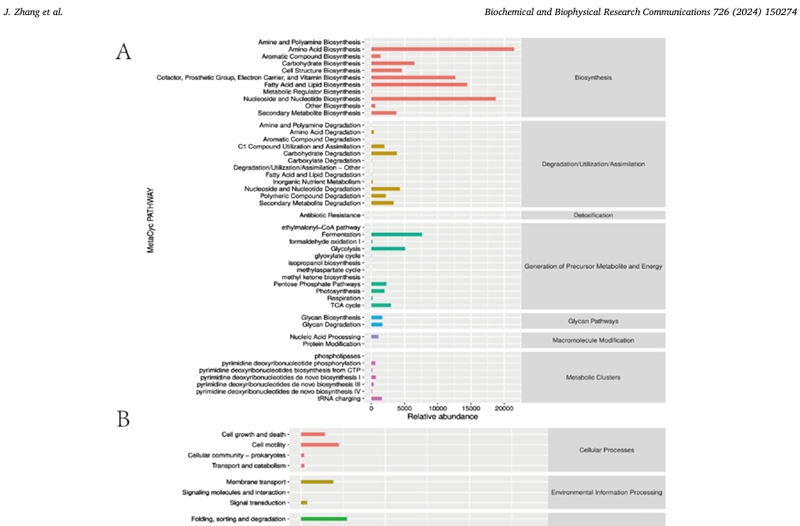 Predictive metabolic pathway statistics