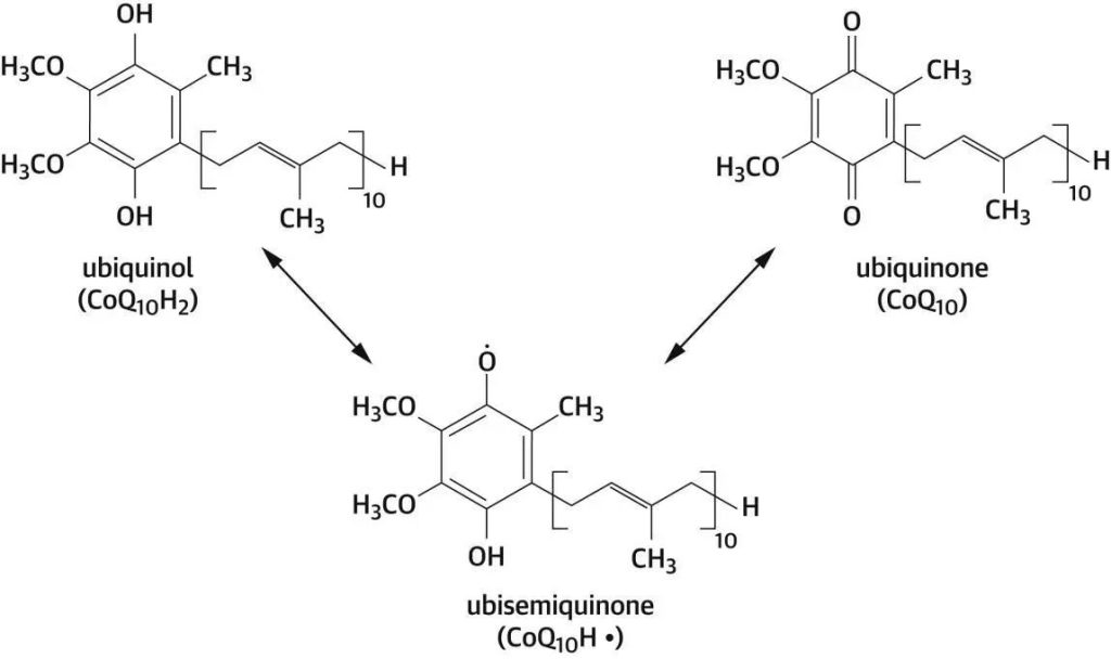 Coenzyme Q10