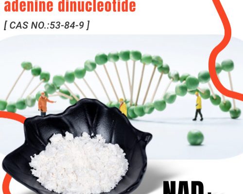 nicotinamide adenine dinucleotide NAD+ Powder