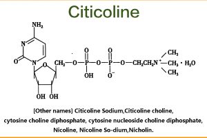 Bulk Citicoline Powder