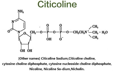 Bulk Citicoline Powder