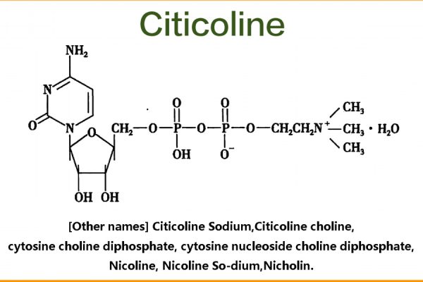 Bulk Citicoline Powder