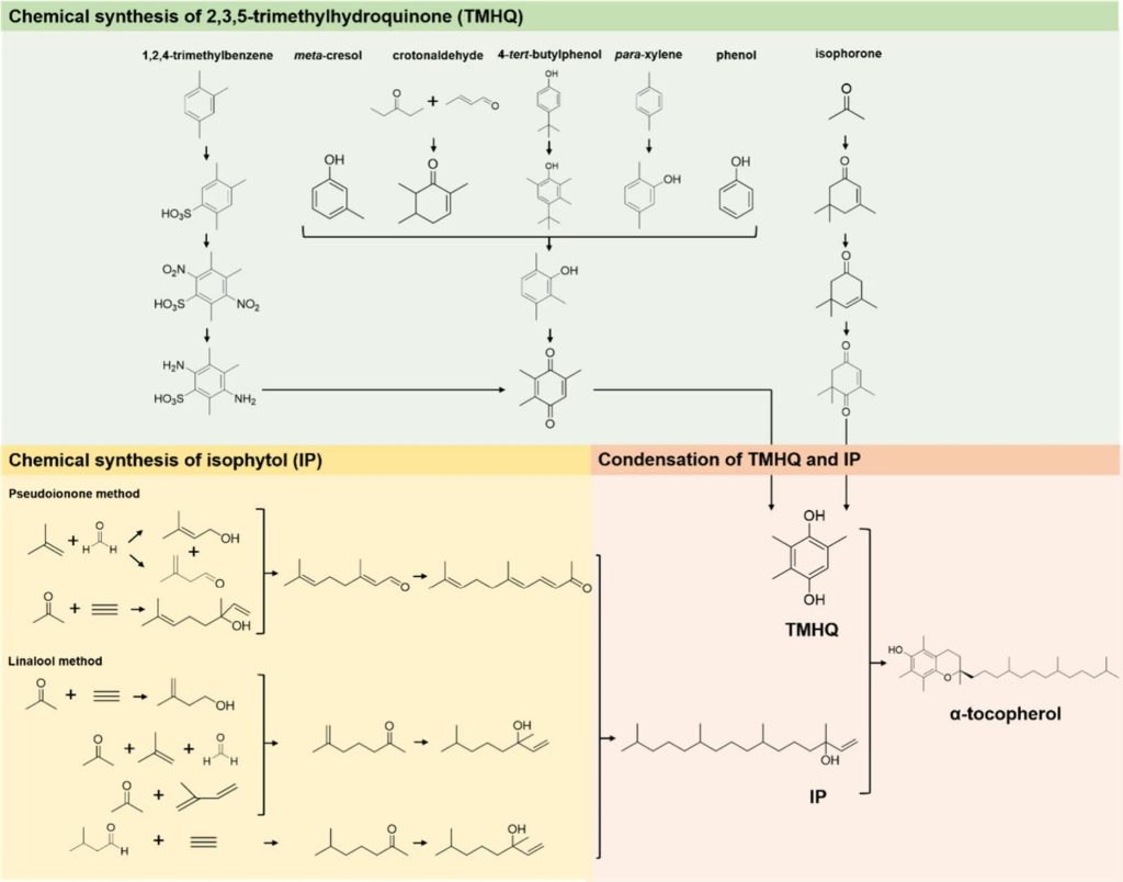 Chemical synthesis of vitamin E