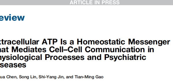 Extracellular ATP Is a Homeostatic Messenger That Mediates cell-Cell Communication in Physiological Processes and Psychiatric Diseases