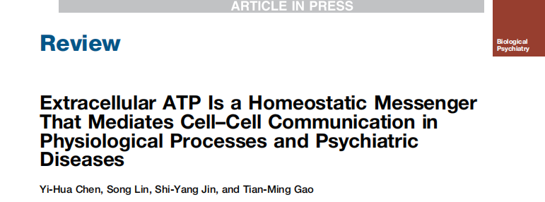 Extracellular ATP Is a Homeostatic Messenger That Mediates cell-Cell Communication in Physiological Processes and Psychiatric Diseases