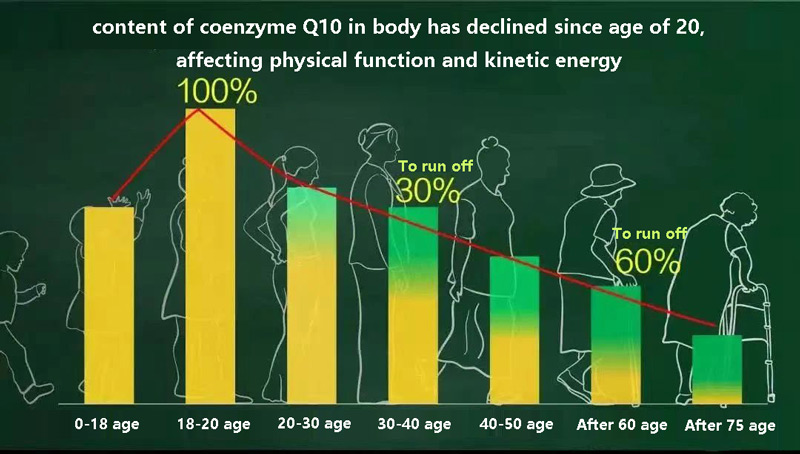 The content of coenzyme Q10 in the body has declined since the age of 20, affecting physical function and kinetic energy