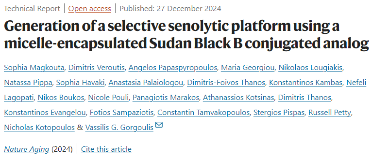 Generation ofaselective senolytic platform using a micelle-encapsulated Sudan Black B conjugated analog