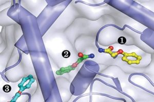 EC3 hydrolase