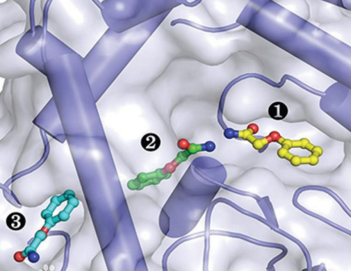 EC3 hydrolase