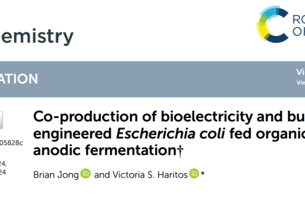 Co-production of bioelectricity and butanol by engineered Escherichia coli fed organic wastes in anodic fermentation