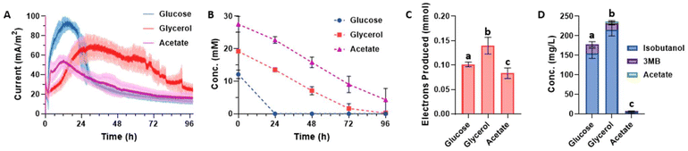 The properties of different carbon sources in anode electrofermentation with engineered Escherichia coli were compared