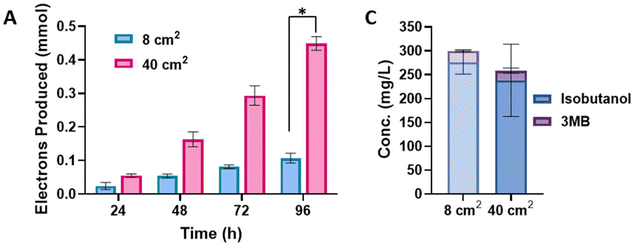 The electron transport efficiency and butanol yield of engineered Escherichia coli were improved by increasing electrode surface area