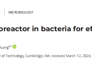 Engineering bionanoreactor in bacteria for efficient hydrogen production