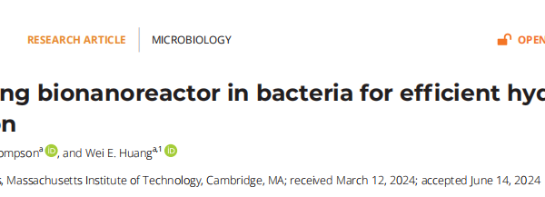 Engineering bionanoreactor in bacteria for efficient hydrogen production