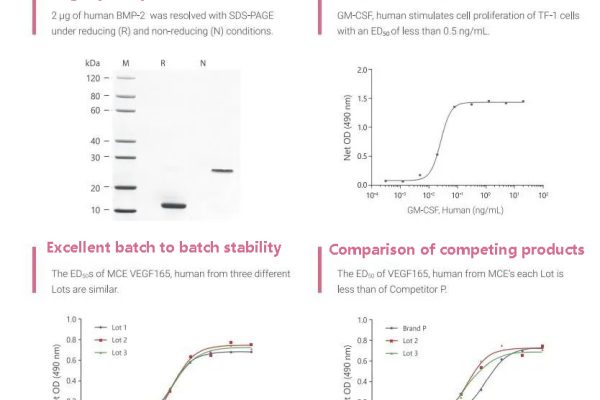 Exploring the EC2 transferase: The magical scissor hands of synthetic biology