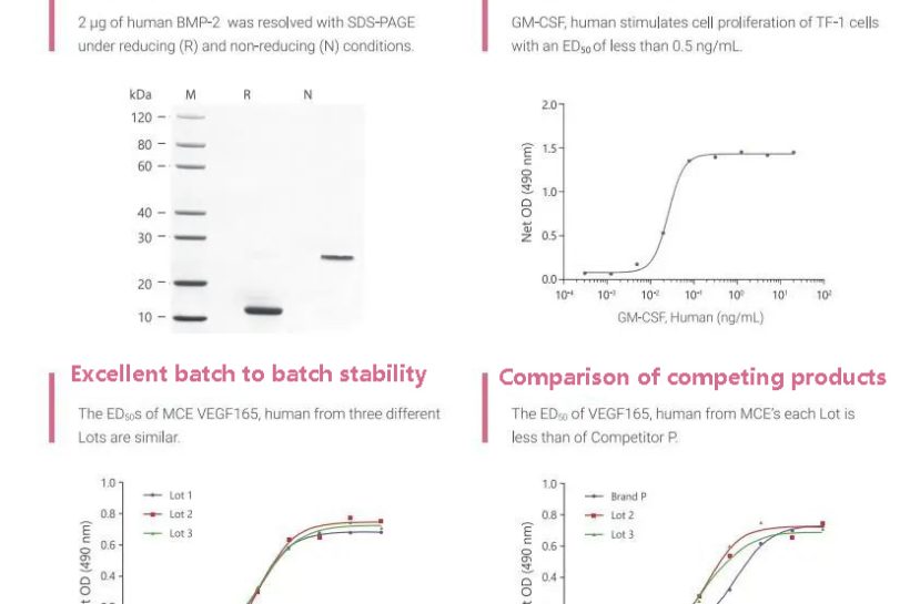 Exploring the EC2 transferase: The magical scissor hands of synthetic biology