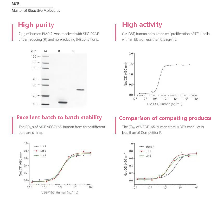 Exploring the EC2 transferase: The magical scissor hands of synthetic biology