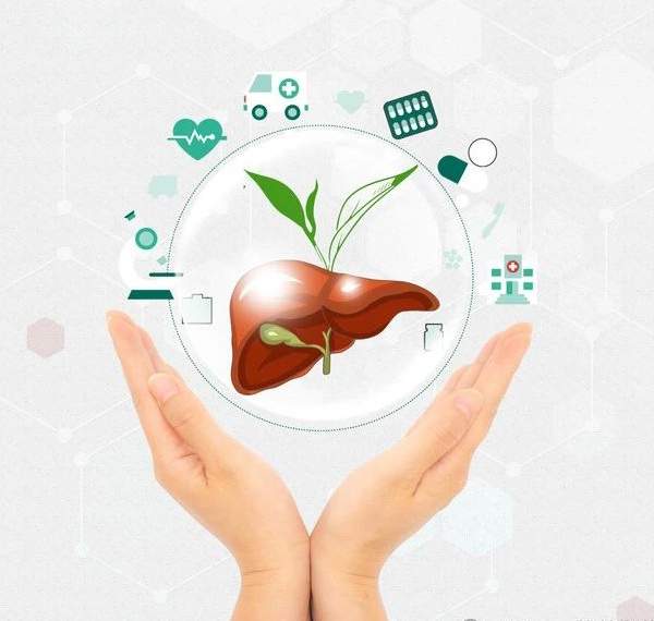 7 nutrients to optimize liver function